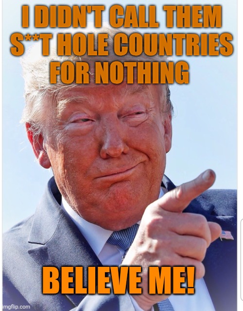Trump pointing | I DIDN'T CALL THEM
 S**T HOLE COUNTRIES 
FOR NOTHING BELIEVE ME! | image tagged in trump pointing | made w/ Imgflip meme maker