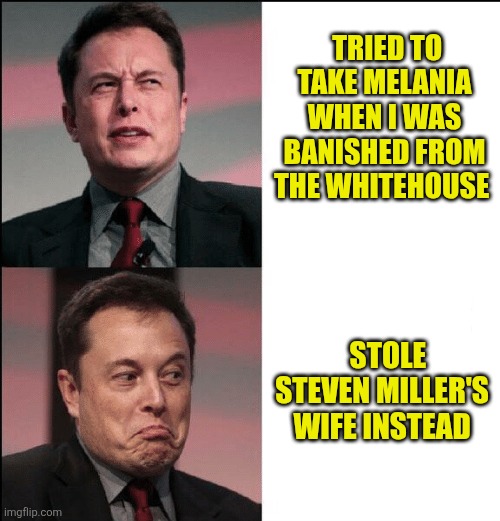 Elon Musk no maybe | TRIED TO TAKE MELANIA WHEN I WAS BANISHED FROM THE WHITEHOUSE STOLE 
STEVEN MILLER'S 
WIFE INSTEAD | image tagged in elon musk no maybe | made w/ Imgflip meme maker
