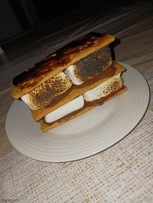 Double Decker s'mores with sugar brulee on top | made w/ Imgflip meme maker