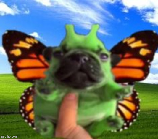 this dog is fucked up bruh.. | made w/ Imgflip meme maker