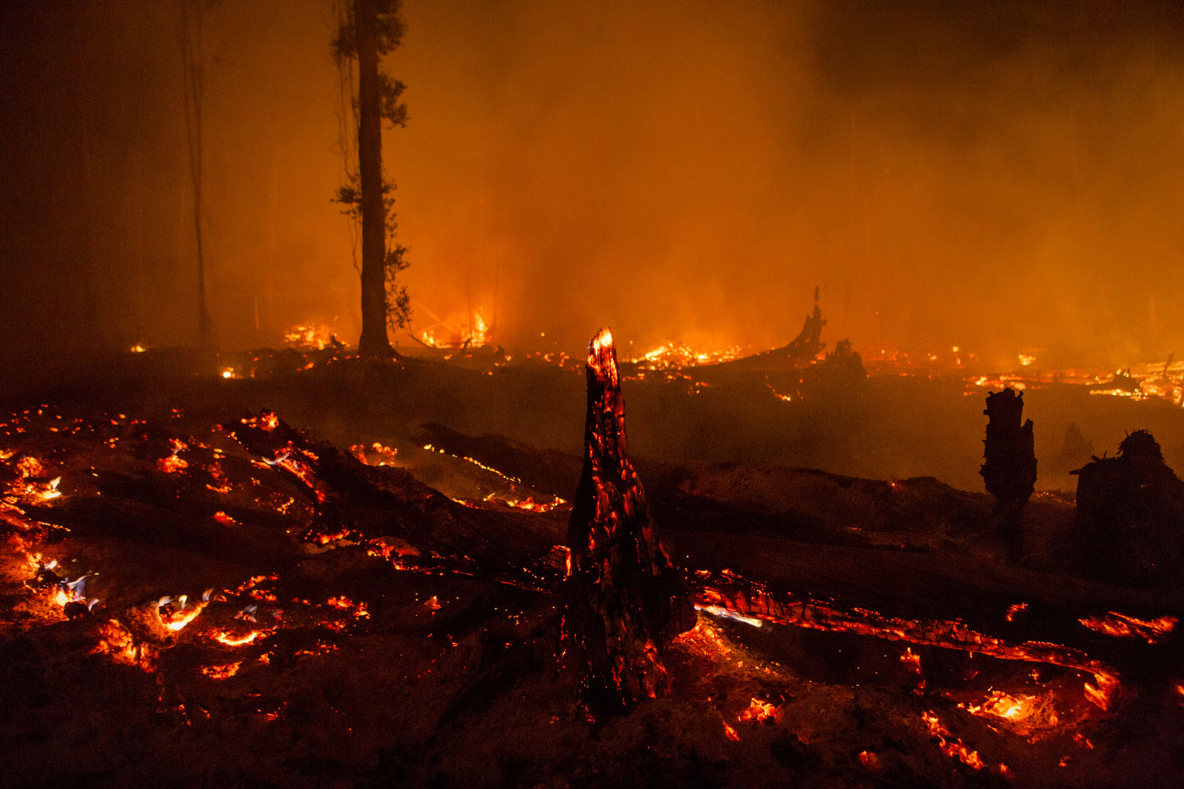 Land on fire Blank Meme Template