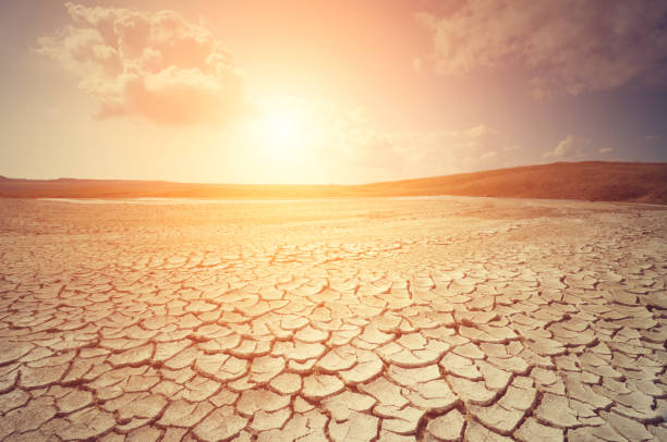 Dry desert Blank Meme Template