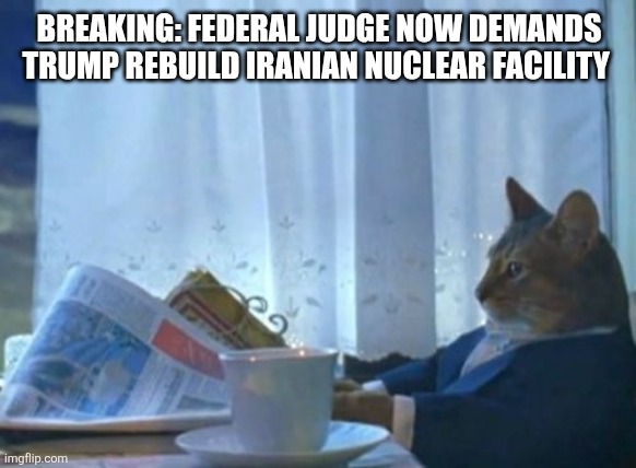 I Should Buy A Boat Cat | BREAKING: FEDERAL JUDGE NOW DEMANDS TRUMP REBUILD IRANIAN NUCLEAR FACILITY | image tagged in memes,i should buy a boat cat | made w/ Imgflip meme maker
