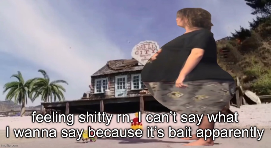 david hasselhoff got fat god damn | feeling shitty rn. I can’t say what I wanna say because it’s bait apparently | image tagged in david hasselhoff got fat god damn | made w/ Imgflip meme maker