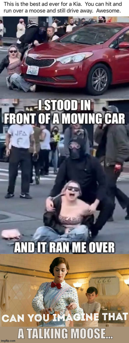 Can you imagine that? A talking moose. | image tagged in can you imagine,a talking moose,lesson of the day,do no play in the road | made w/ Imgflip meme maker