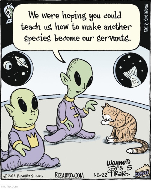 You’ve come to the right place… | image tagged in cats,bizarro comics,comics,aliens,teach us | made w/ Imgflip meme maker