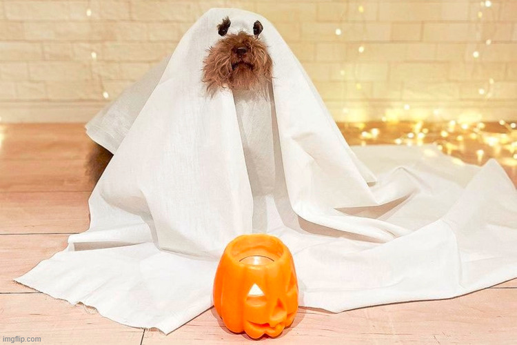 aww he's a ghost! In 2012, I watched two men put a bag over a woman's head and drag her into a car. I did nothing to help. | made w/ Imgflip meme maker