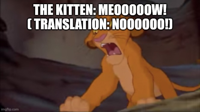 Long Live the Meme (3) | THE KITTEN: MEOOOOOW! ( TRANSLATION: NOOOOOO!) | image tagged in long live the meme 3 | made w/ Imgflip meme maker