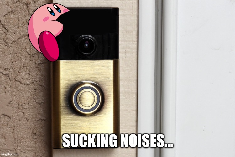 Ring Doorbell | SUCKING NOISES... | image tagged in ring doorbell | made w/ Imgflip meme maker