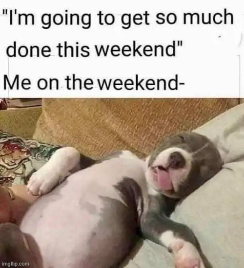 You gotta admit that there's a lot of truth here..... | image tagged in weekend,overload,getting stuff done,sorry not sorry,zzzzzzzzzzzzzzzzzzz,procrastination | made w/ Imgflip meme maker