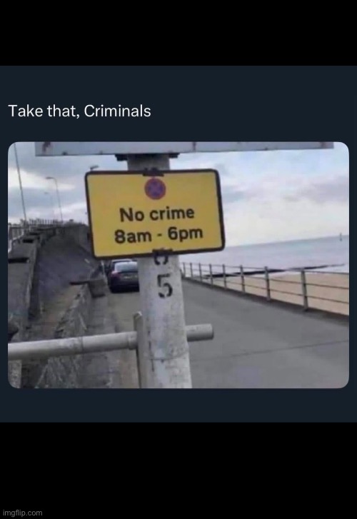 And bam crime solved | image tagged in crime,goofy ahh | made w/ Imgflip meme maker