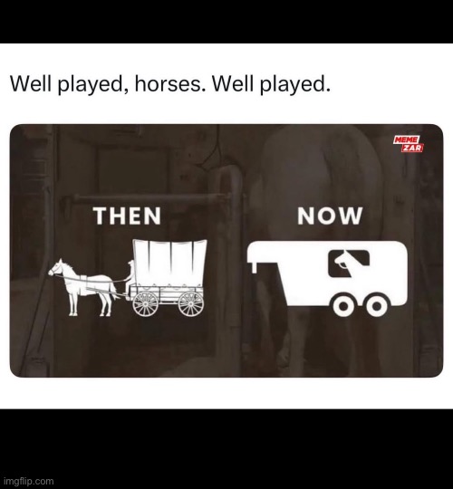 Smart horse | image tagged in horse,goofy | made w/ Imgflip meme maker