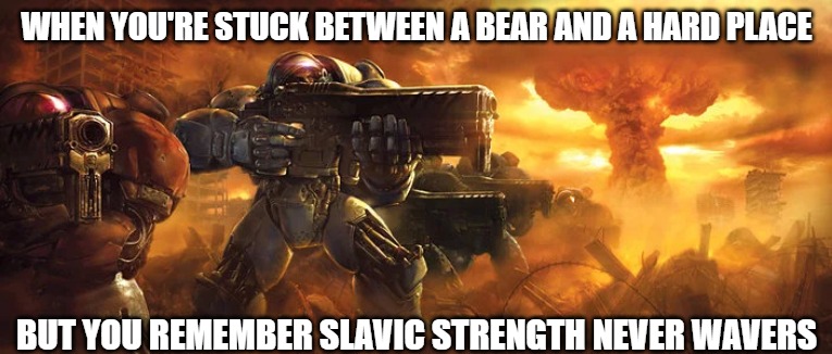 Terran | WHEN YOU'RE STUCK BETWEEN A BEAR AND A HARD PLACE; BUT YOU REMEMBER SLAVIC STRENGTH NEVER WAVERS | image tagged in terran,slavic lives matter,slavic starcraft | made w/ Imgflip meme maker