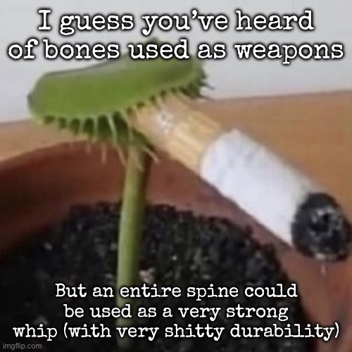 So yes, those cavemen in movies could actually use a spine as a whip | I guess you’ve heard of bones used as weapons; But an entire spine could be used as a very strong whip (with very shitty durability) | image tagged in plant weeds,msmg | made w/ Imgflip meme maker