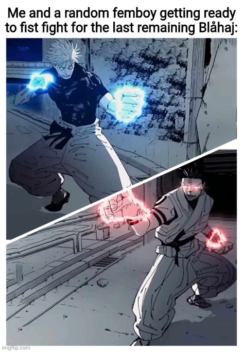 gojo vs sukuna meme template | Me and a random femboy getting ready to fist fight for the last remaining Blåhaj: | image tagged in gojo vs sukuna meme template | made w/ Imgflip meme maker