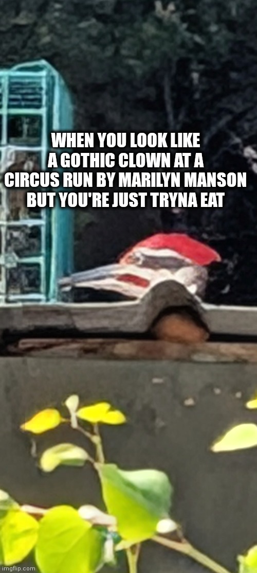 Goth clown | WHEN YOU LOOK LIKE A GOTHIC CLOWN AT A CIRCUS RUN BY MARILYN MANSON BUT YOU'RE JUST TRYNA EAT | image tagged in marilyn manson | made w/ Imgflip meme maker