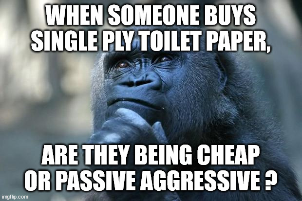 Why Single Ply ? | WHEN SOMEONE BUYS SINGLE PLY TOILET PAPER, ARE THEY BEING CHEAP OR PASSIVE AGGRESSIVE ? | image tagged in deep thoughts,single ply tp,cheapskate,gambler,passive aggressive,prank | made w/ Imgflip meme maker