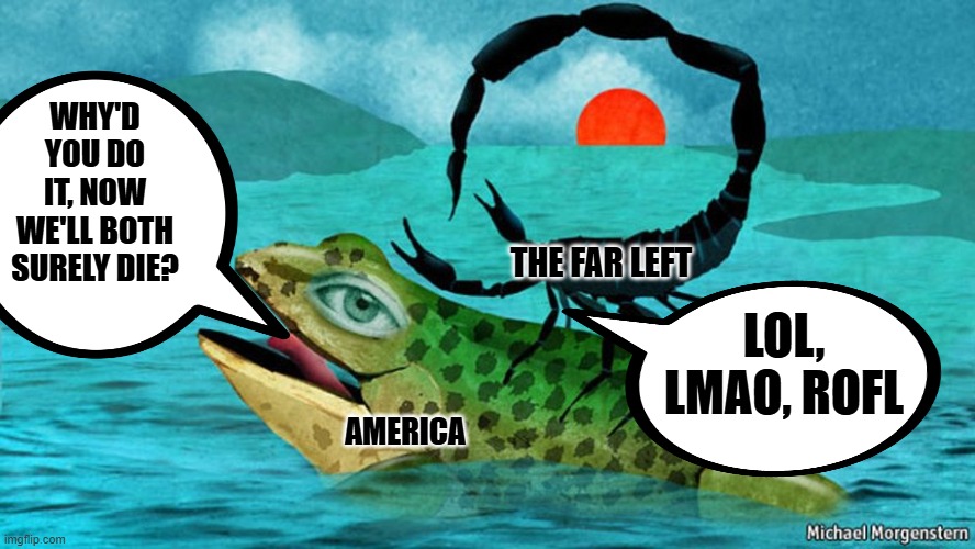 Because it's their nature. | WHY'D YOU DO IT, NOW WE'LL BOTH SURELY DIE? THE FAR LEFT; LOL, LMAO, ROFL; AMERICA | image tagged in the scorpion and the frog | made w/ Imgflip meme maker