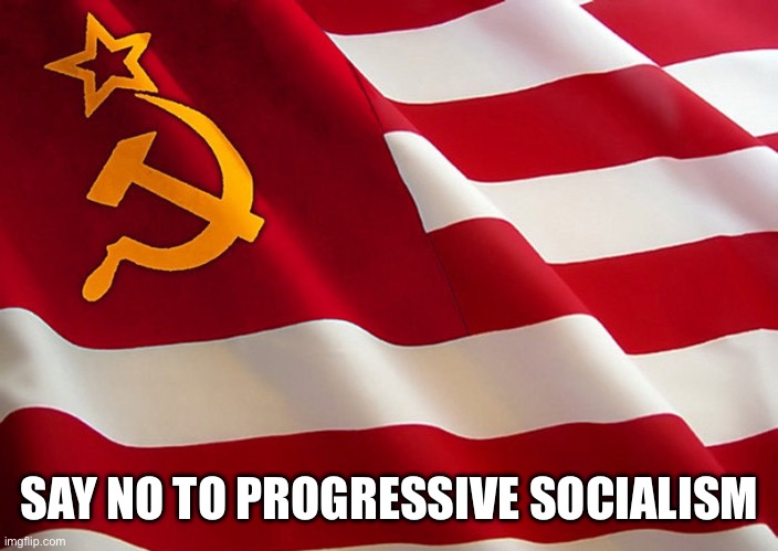 Democrat Flag | SAY NO TO PROGRESSIVE SOCIALISM | image tagged in democrat flag | made w/ Imgflip meme maker