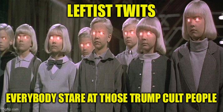 Cult | LEFTIST TWITS EVERYBODY STARE AT THOSE TRUMP CULT PEOPLE | image tagged in cult | made w/ Imgflip meme maker