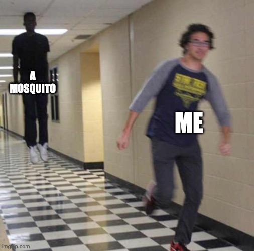 Guess I'll become a free meal now | A MOSQUITO; ME | image tagged in floating boy chasing running boy,memes,funny,mosquito,relatable,attracted | made w/ Imgflip meme maker