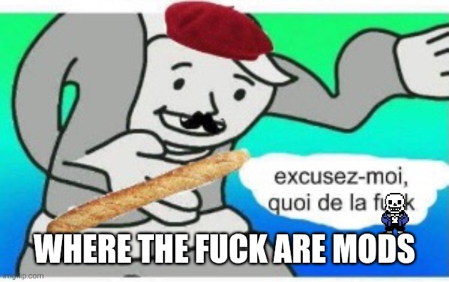 At least nobody reads tags (Chara note: I do.) | WHERE THE FUCK ARE MODS | image tagged in excuse me what the fuck french version,never gonna give you up,never gonna let you down,never gonna run around,and desert you | made w/ Imgflip meme maker