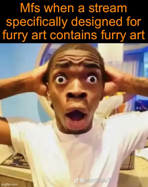 I ain’t a furry, and neither do I plan on being one. However, so far I spotted more flaws in anti furry logic than in furry logi | Mfs when a stream specifically designed for furry art contains furry art | image tagged in shocked black guy | made w/ Imgflip meme maker