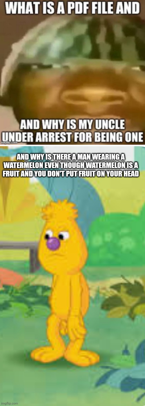 Watermelon ahh meme | AND WHY IS THERE A MAN WEARING A WATERMELON EVEN THOUGH WATERMELON IS A FRUIT AND YOU DON'T PUT FRUIT ON YOUR HEAD | image tagged in what is a pdf file,watermelon,sesame street,what,but why tho,why are you reading the tags | made w/ Imgflip meme maker