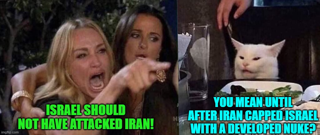 But surviving a nuclear blast or two is so sexy! | ISRAEL SHOULD NOT HAVE ATTACKED IRAN! YOU MEAN UNTIL AFTER IRAN CAPPED ISRAEL WITH A DEVELOPED NUKE? | image tagged in woman yelling at cat | made w/ Imgflip meme maker