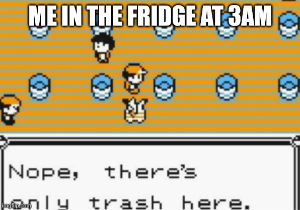 Real | ME IN THE FRIDGE AT 3AM | image tagged in nope there's only trash here | made w/ Imgflip meme maker