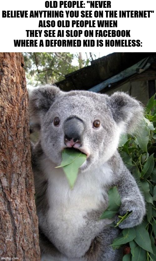 like it's obviously not real and still | OLD PEOPLE: "NEVER BELIEVE ANYTHING YOU SEE ON THE INTERNET"
ALSO OLD PEOPLE WHEN THEY SEE AI SLOP ON FACEBOOK WHERE A DEFORMED KID IS HOMELESS: | image tagged in memes,surprised koala,old people,old people be like,ai slop | made w/ Imgflip meme maker