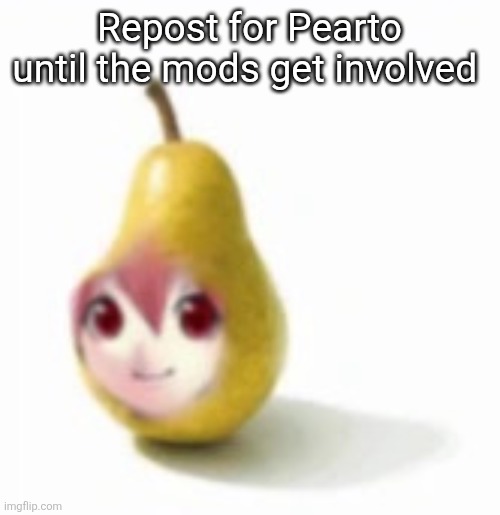 Pearto | Repost for Pearto until the mods get involved | image tagged in pearto | made w/ Imgflip meme maker