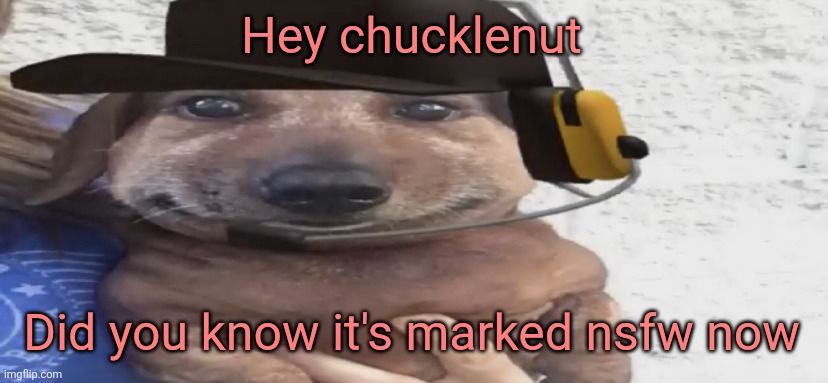 chucklenuts | Hey chucklenut Did you know it's marked nsfw now | image tagged in chucklenuts | made w/ Imgflip meme maker