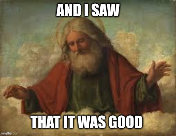 AND I SAW THAT IT WAS GOOD | image tagged in god | made w/ Imgflip meme maker