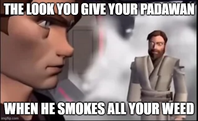 Anakin Got Lit | THE LOOK YOU GIVE YOUR PADAWAN; WHEN HE SMOKES ALL YOUR WEED | image tagged in star wars,anakin skywalker | made w/ Imgflip meme maker