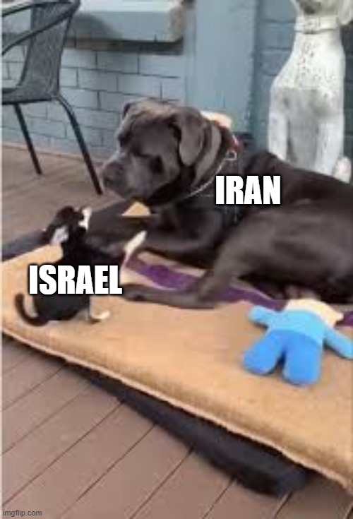 Big mistake.... | IRAN; ISRAEL | image tagged in little attacks big,iran,israel,mistake,little dog attacks big dog,mistakes | made w/ Imgflip meme maker
