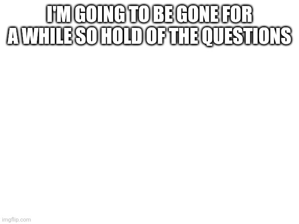 (If you keep forgetting to put a sans of topic, I’ll disapprove your stuff. -Spinel) | I'M GOING TO BE GONE FOR A WHILE SO HOLD OF THE QUESTIONS | image tagged in sans of topic | made w/ Imgflip meme maker