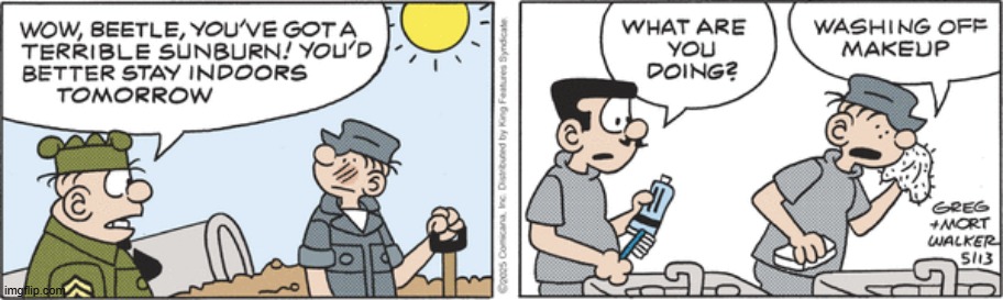 Beetle Bailey | image tagged in comics | made w/ Imgflip meme maker