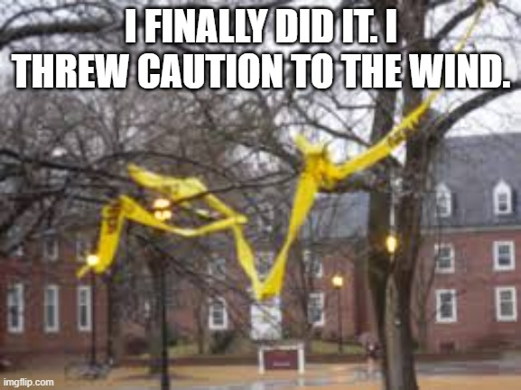 I finally threw caution to the wind.  - funny - | I FINALLY DID IT. I THREW CAUTION TO THE WIND. | image tagged in funny,fun,play on words,humor,caution,caution sign | made w/ Imgflip meme maker