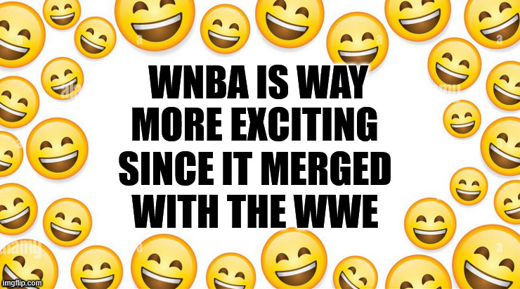 WNBWWE | WNBA IS WAY MORE EXCITING; SINCE IT MERGED WITH THE WWE | image tagged in basketball wrestling | made w/ Imgflip meme maker