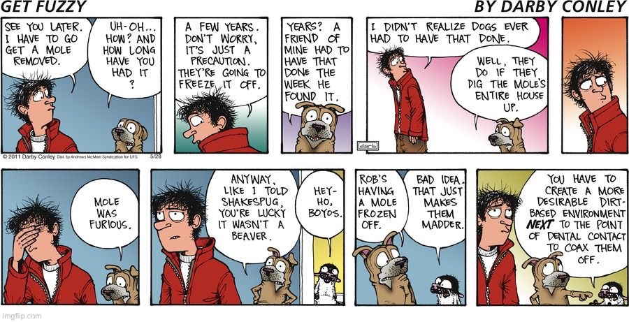 image tagged in comics,get fuzzy,cat and dog | made w/ Imgflip meme maker