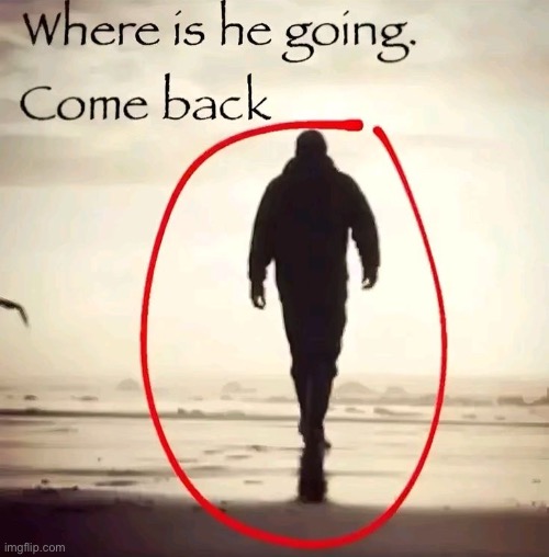 Wait no come back | made w/ Imgflip meme maker