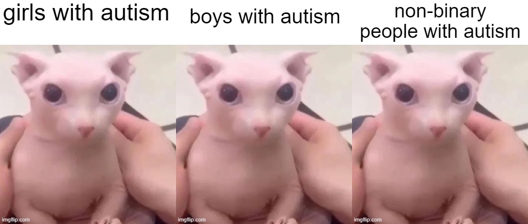 girls with autism; non-binary people with autism; boys with autism | image tagged in bingus | made w/ Imgflip meme maker