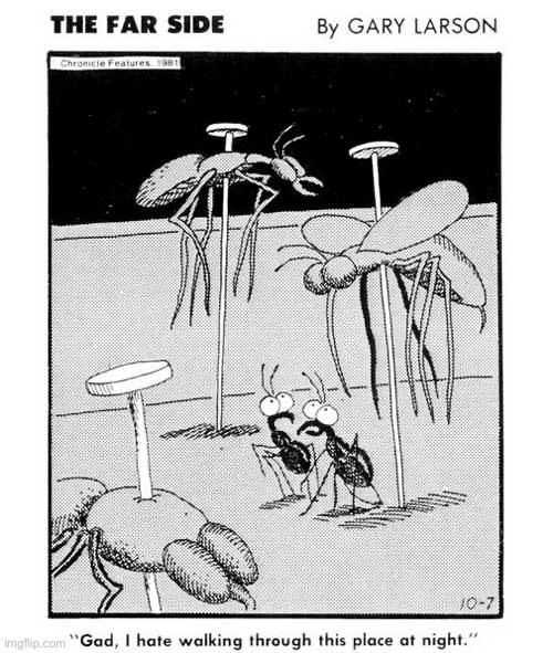 A bug’s nightmare fuel… | image tagged in comics,the far side,insects | made w/ Imgflip meme maker