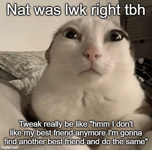 I was the second Nat </3 | Nat was lwk right tbh; Tweak really be like "hmm I don't like my best friend anymore I'm gonna find another best friend and do the same" | image tagged in goober | made w/ Imgflip meme maker