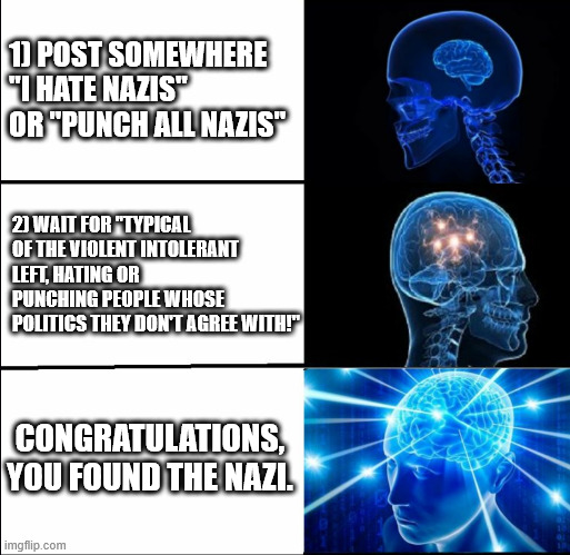 A simple 2 step process to find a nazi. | 1) POST SOMEWHERE "I HATE NAZIS" OR "PUNCH ALL NAZIS"; 2) WAIT FOR "TYPICAL OF THE VIOLENT INTOLERANT LEFT, HATING OR PUNCHING PEOPLE WHOSE POLITICS THEY DON'T AGREE WITH!"; CONGRATULATIONS, YOU FOUND THE NAZI. | image tagged in galaxy brain 3 brains | made w/ Imgflip meme maker