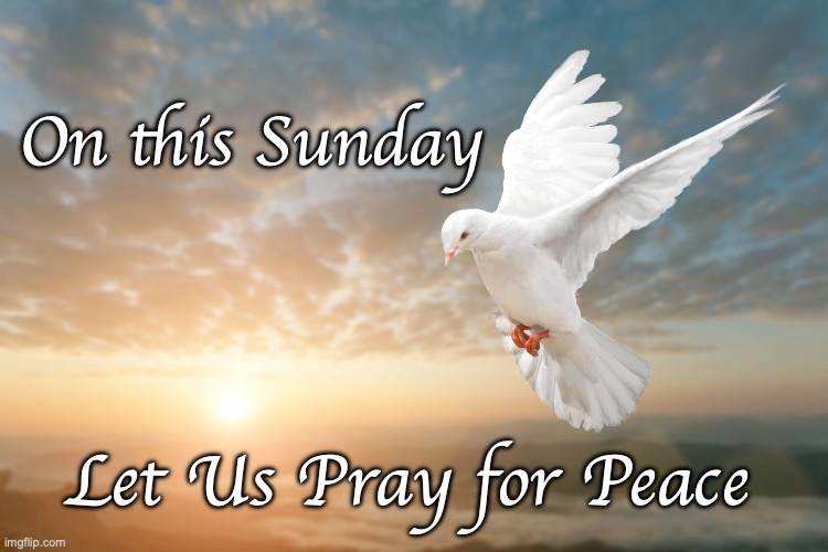 Sunday Pray for Peace | On this Sunday; Let Us Pray for Peace | image tagged in sunday prayer,sun pray peace | made w/ Imgflip meme maker
