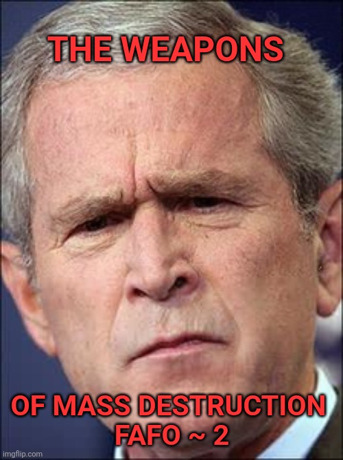 GW Bush | THE WEAPONS OF MASS DESTRUCTION 
FAFO ~ 2 | image tagged in gw bush | made w/ Imgflip meme maker