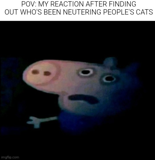 I ain't joking | POV: MY REACTION AFTER FINDING OUT WHO'S BEEN NEUTERING PEOPLE'S CATS | image tagged in wtf,why | made w/ Imgflip meme maker