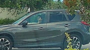 Dude I saw your mom... Blank Meme Template